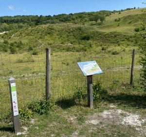 Mont Pelé et mont Hulin à Desvres - Desvres - 5
