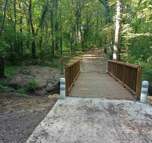 Balade dans la forêt d'Amnéville - Hagondange - 3