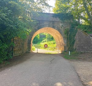 Balade dans la forêt d'Amnéville - Hagondange - 4