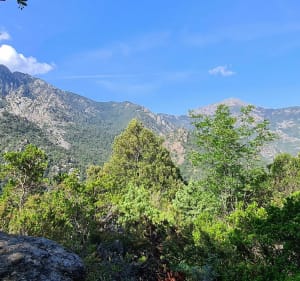 Forêt de Bonifatu par Punta di Ficaghiola - Calenzana - 4