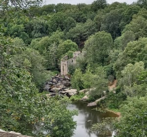 Au fil de l'Yon par le Petit et Grand-Rochereau à VTT - Rives-de-l'Yon - 3