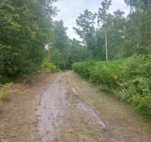 Balade VTT autour de Plailly - Plailly - 5