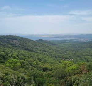 Rando vers Notre-Dame Mai - Six-Fours-les-Plages - 3