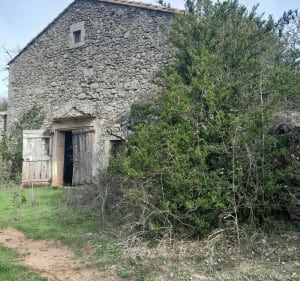 Randonnée au col du Licous - Cornus - 3