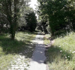 Entre fraîcheur et pavé à Lesquin - Ronchin - 3