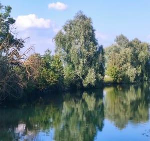 Balade au lac bleu à Arras - BEN - 3