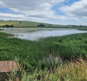 Randonnée vélo au Lac du Pêcher - Allanche - 4