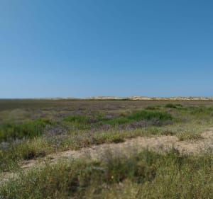 Balade forêt de la Coubre et La Tremblade à vélo - Les Mathes - 4