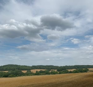 Boucle Franconville Frepillon par pistes cyclables et chemins - Franconville - 3