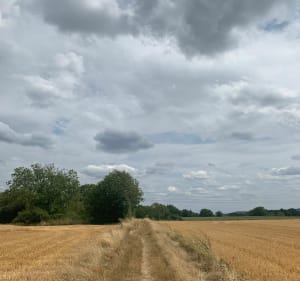 Boucle Franconville Frepillon par pistes cyclables et chemins - Franconville - 4