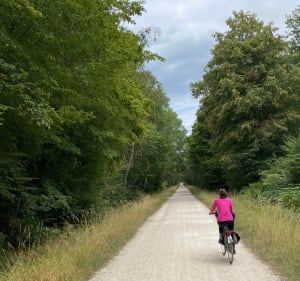 Bois de Notre-Dame et ses environs - Sucy-en-Brie - 3