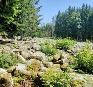 Petite balade autour du Champ des Roches - Barbey-Seroux - 3