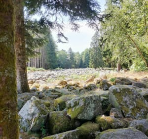 Petite balade autour du Champ des Roches - Barbey-Seroux - 5