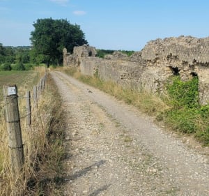 Le Garon - Orliénas - 3