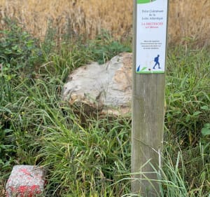Sentier de la Grée depuis Fercé - Fercé - 3