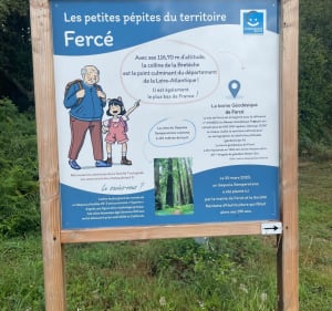 Sentier de la Grée depuis Fercé - Fercé - 4