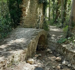 Boucle autour de Beynes par Crespieres Thiverval Cressay - Beynes - 5