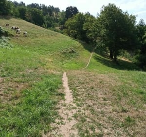 La ch'tite rando de Grego au Hohrodberg à Soultzeren - Soultzeren - 3