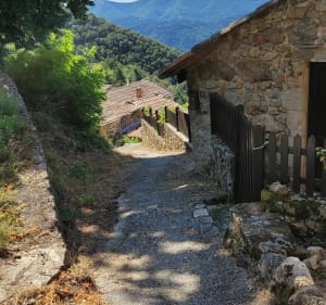 Balade intense en émotion visuellement et sportivement depuis Les Ollières-sur-Eyrieux - Les Ollières-sur-Eyrieux - 3
