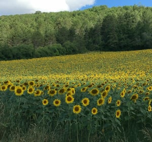 Randonnée de Panges par Baulme-la-Roche - Panges - 5