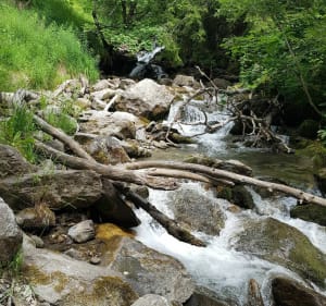 De Les Pérelles au sentier des Hameaux - Saint-François-Longchamp - 3