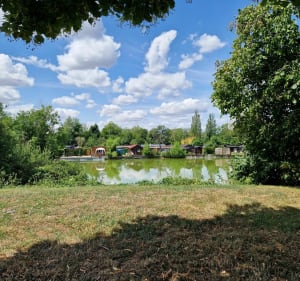 Marais de Saint-Blaise - La Ferté-Alais - 3
