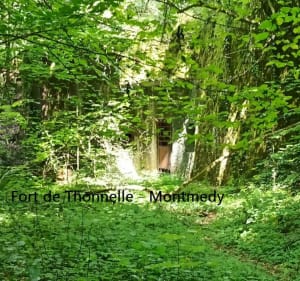 Balade entre nature et vestiges de la ligne Maginot. - Pascal - 3