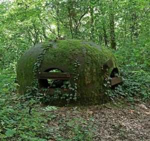 Balade entre nature et vestiges de la ligne Maginot. - Pascal - 5