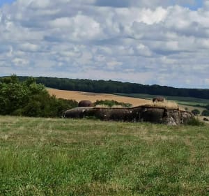 Balade entre nature et vestiges de la ligne Maginot. - Pascal - 4