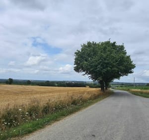 Balade à la campagne entre Rougé et Châteaubriant - Châteaubriant - 3