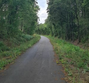Balade à la campagne entre Rougé et Châteaubriant - Châteaubriant - 4