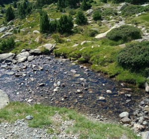 Lac des Bouillouses : Petite boucle des étangs du Carlit - Angoustrine-Villeneuve-des-Escaldes - 5