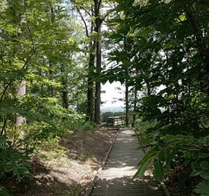 Belle balade entre champs et forêts à Jouy-le-Moutier - Jouy-le-Moutier - 3