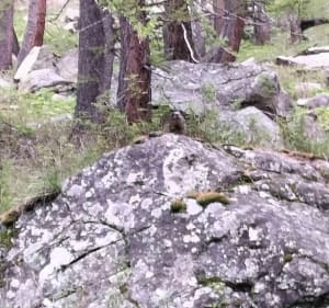 Col de l'Encombrette par le lac d'Allos - Allos - 3