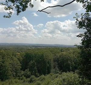 Belle balade entre champs et forêts à Jouy-le-Moutier - Jouy-le-Moutier - 5