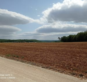 Boucle en VTT dans les bois et chemins blancs - Is-sur-Tille - 4