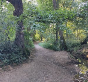 VTT Aqueduc et vallée du Garon - Chaponost - 5