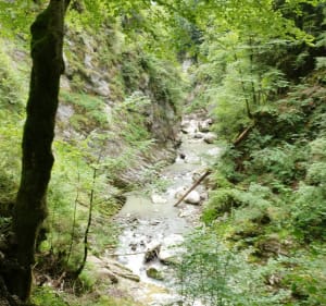 Gorges du pont du diable - La Vernaz - 3