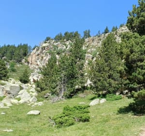 Wandeling van het meer van Calvet naar het meer van Aude-Pyrénées - La Llagonne - 4