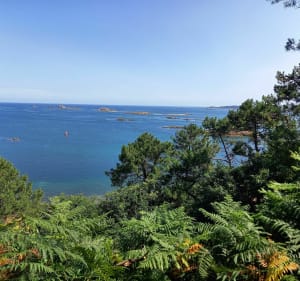 Découverte de l'Île Callot et Carantec à velo - laurence - 5