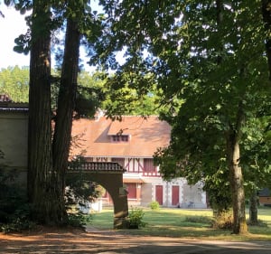 Promenade à vélo entre forêt et ville à Saint-Avertin - Saint-Avertin - 4