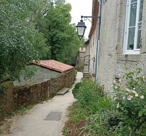 Clisson, entre Sèvre et Moine - Clisson - 5