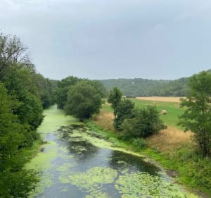 Petite boucle de Noyers sur Le Serein - Noyers - 3