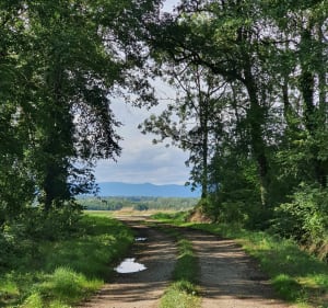 Belle balade entre forêt et champs à Brebotte - Severine - 3