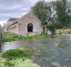 Petite boucle de Noyers sur Le Serein - Noyers - 4