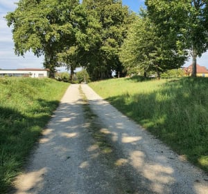 Belle balade entre forêt et champs à Brebotte - Severine - 4