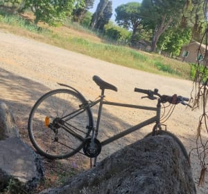 Balade de Vias à la Tamarissière par le canal du Midi - Vias - 5