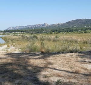 Campagne de MALLEMORT. - Mallemort - 3