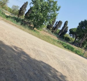 Balade de Vias à la Tamarissière par le canal du Midi - Vias - 3