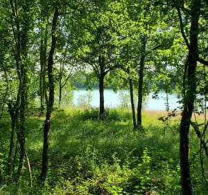 Tour du lac de Gouyre - Vaïssac - 3